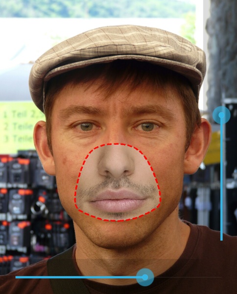 Face Paste - Preview 8