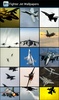 Fighter Jet Wallpapers screenshot 2