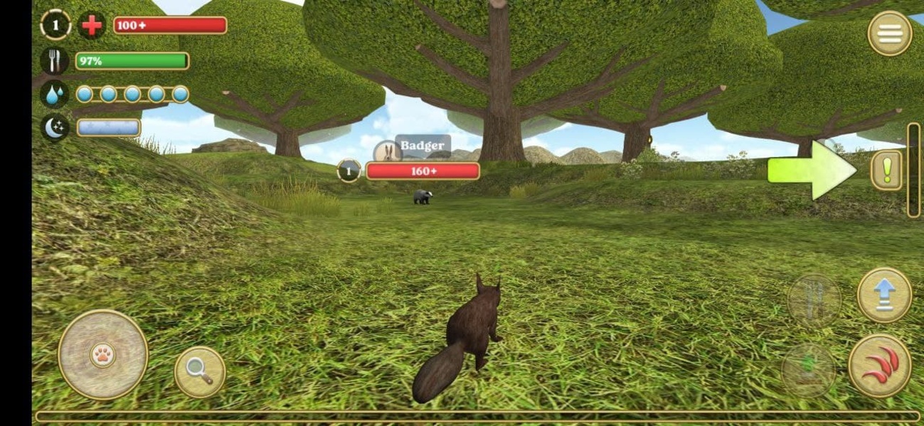 Squirrel Simulator 2 - Preview 3