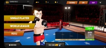 Smash Boxing screenshot 14