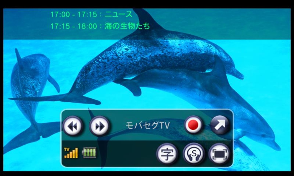 SegClip - Preview 4