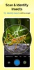 Insect Spider & Bug identifier screenshot 8