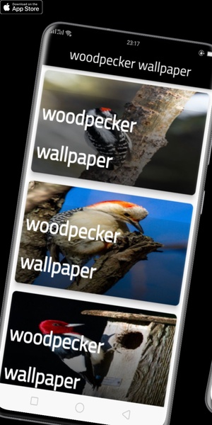 woodpecker wallpaper - Preview 5