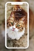 Cutest Cats Wallpaper screenshot 2