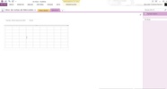 Microsoft OneNote screenshot 4