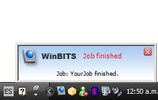 WinBits screenshot 5