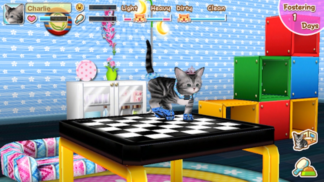 My Cat para Android - Baixe o APK na Uptodown