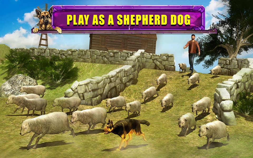Shepherd Dog Simulator 3D - Preview 6
