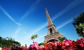 Paris Live Wallpaper screenshot 2