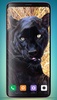 Black Panther Wallpaper HD screenshot 7