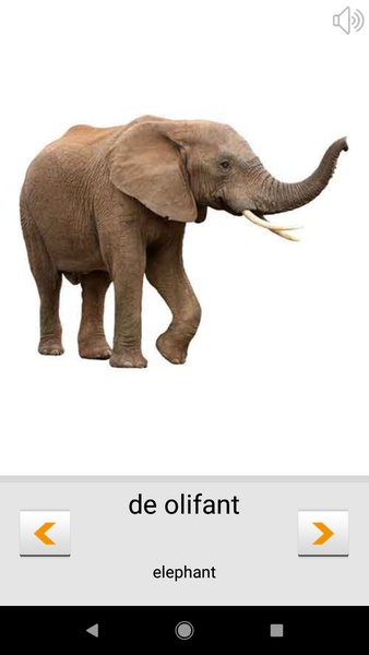 Learn Dutch words with SMART-TEACHER - Preview 5