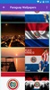 Paraguay Flag Wallpaper: Flags and Country Images screenshot 6