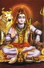 Images Lord Shiva screenshot 4
