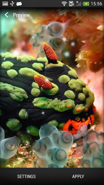Sea Animals Live Wallpaper - Preview 3