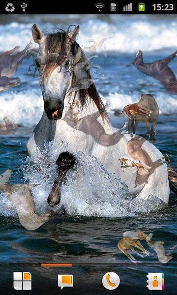 Horse Pictures Live Wallpaper - Preview 1