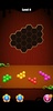 Hex Puzzle screenshot 3