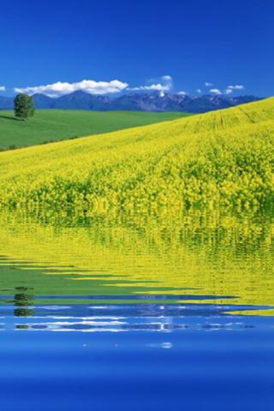 PhotoWaterReflection - Preview 2