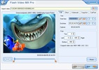 Flash Video MX Pro screenshot 6