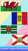 Flags Color by Number Book screenshot 1