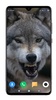 Wolf Wallpaper 4K screenshot 4