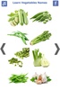 تعليم أسماء الخضروات باللغة الانجليزية screenshot 5