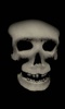 Zombie skull free screenshot 3