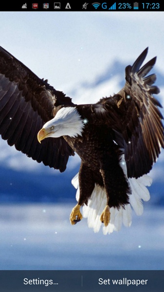 Eagle Live Wallpaper - Preview 7