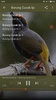 Suara Pikat Semua Burung Ampuh screenshot 4