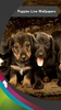 Puppies Live Wallpapers screenshot 7
