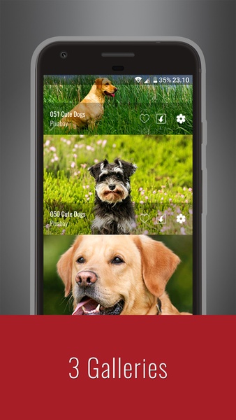 Cute Dogs Wallpapers - Preview 2