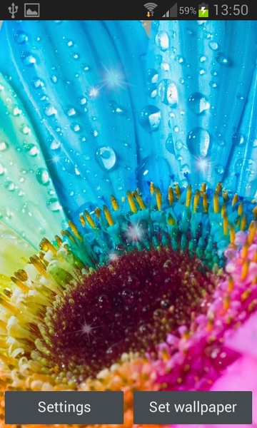 Glitter Flowers Live Wallpaper - Preview 5