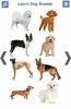 Dog Breeds 🐶 Golden Retriever | Rottweiler screenshot 18