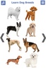 Dog Breeds Golden Retriever | Rottweiler screenshot 19