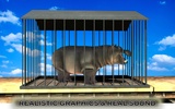 Animal Transport Train screenshot 8