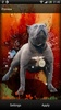 Pitbull Dog Live Wallpaper screenshot 3