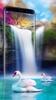Live Wallpaper Waterfall& Swan screenshot 2