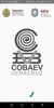 Cobaev screenshot 4