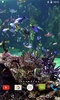 Aquarium 4K Video Wallpaper screenshot 1