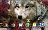 Wolf Live Wallpaper screenshot 3
