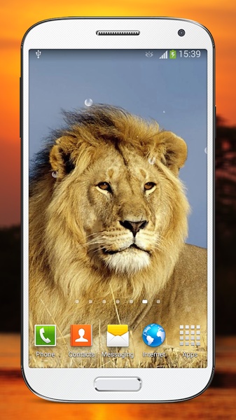 Wild Lion Live Wallpaper HD - Preview 4