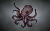 Octopus Live Wallpaper screenshot 3