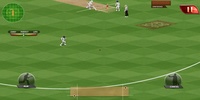 Real Cricket Test Match Edition screenshot 4