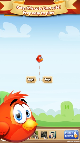 Cute Bird - Preview 2