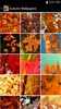 Autumn Wallpapers screenshot 1