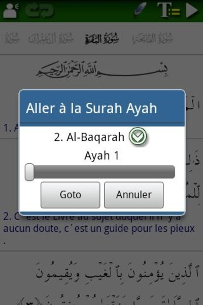 Al-Zikar Pro French - Preview 2