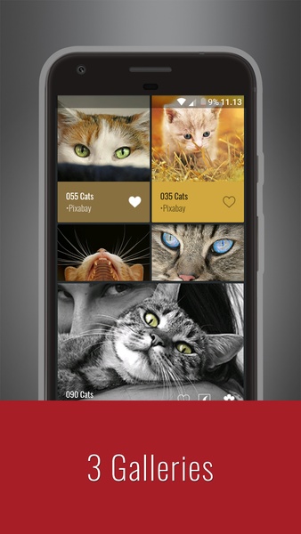 Cats Wallpapers - Preview 7