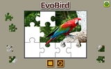 EVO BIRD screenshot 8
