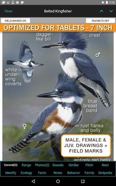 iBird Lite - Preview 16