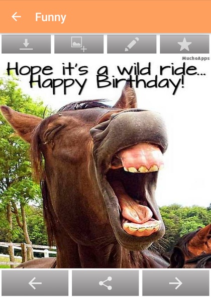 Happy Birthday quotes - Preview 17