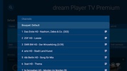 dream Player IPTV for Android TV screenshot 4